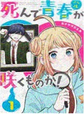 电视剧回声实验封面